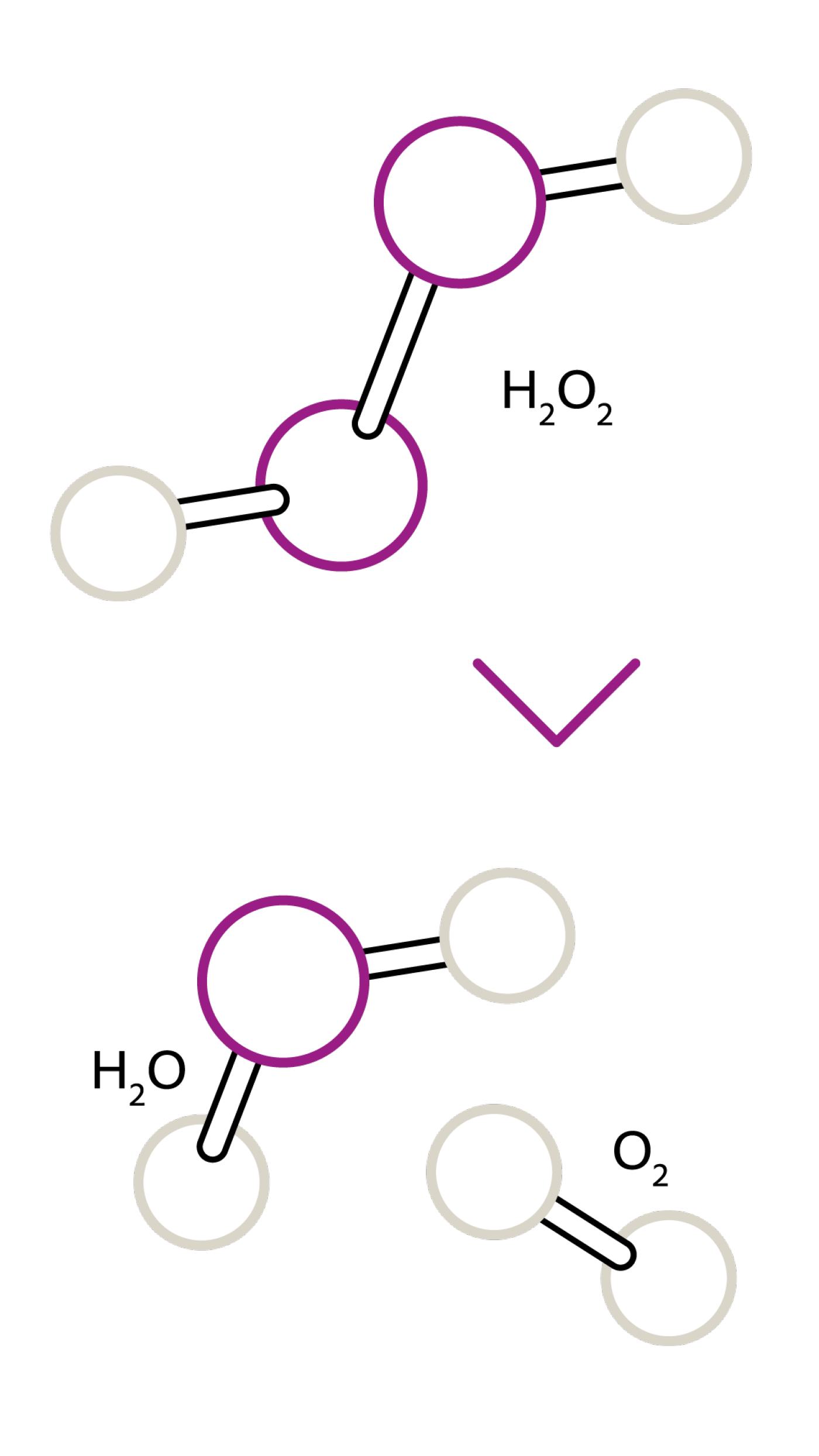 Alternativbild