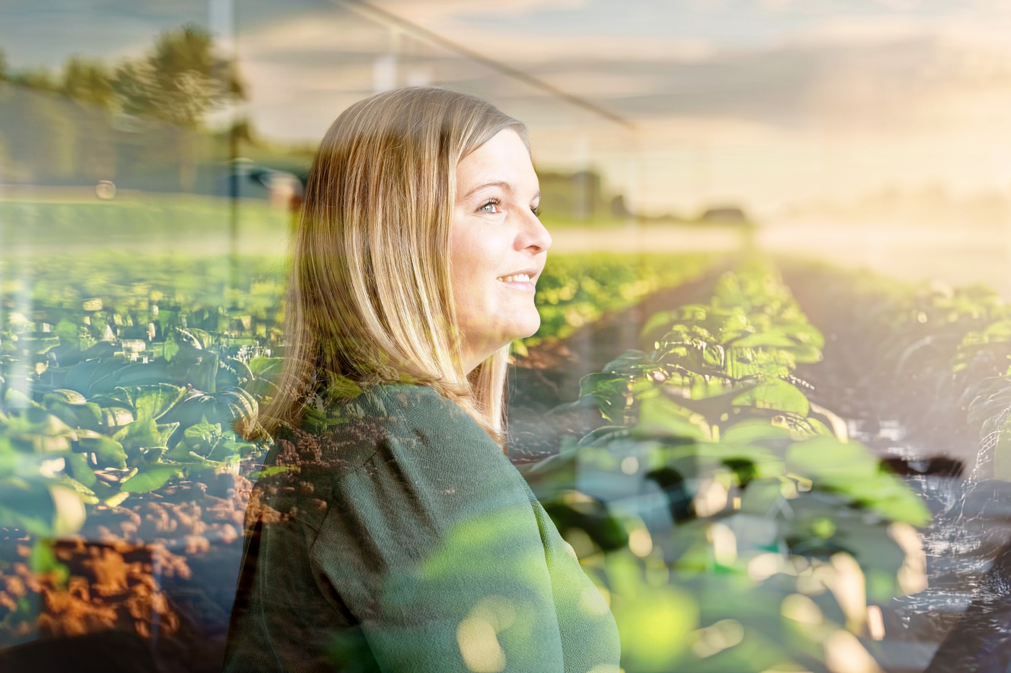 IT Application Developer (m/w/d) SAP ABAP / Fiori / UI5